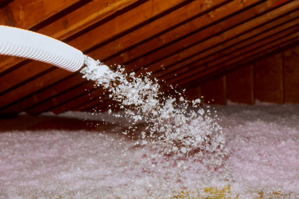 Best Attic Insulation Near Me  in Madison, IL