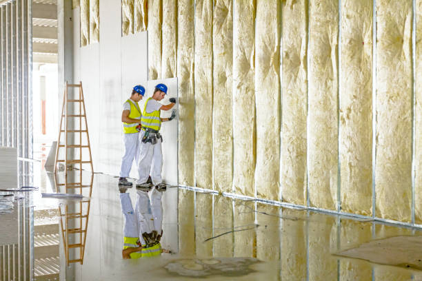 Best Energy-Efficient Insulation  in Madison, IL